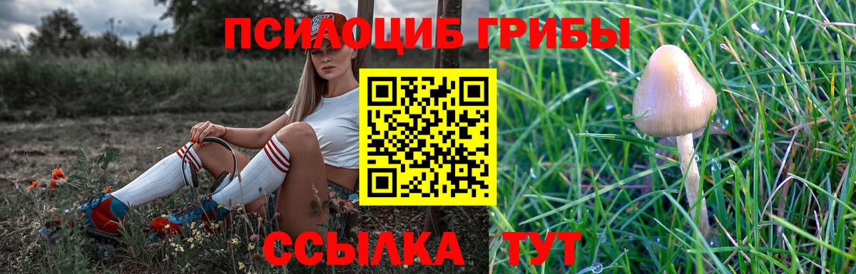 Псилоцибиновые грибы Magic Shrooms  Вход с VPN  Сосновоборск 